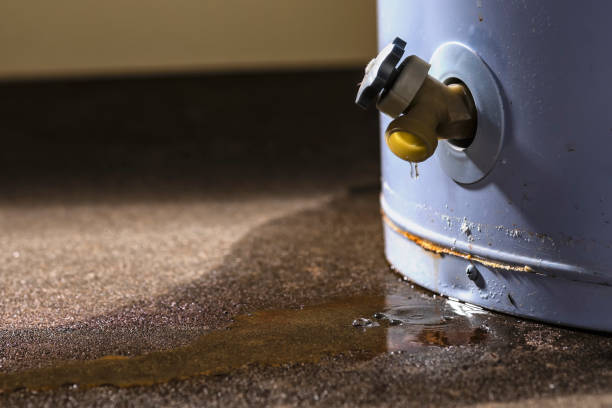 Best Water damage contractors near me  in Westwood, CA