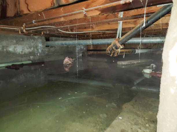  Westwood, CA Water damage restoration Pros