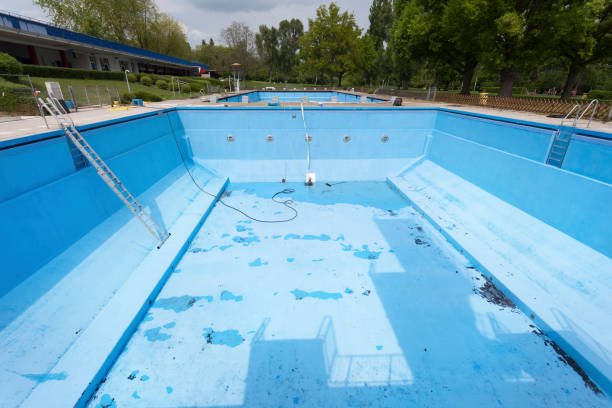 Best Carpet water damage restoration  in Westwood, CA