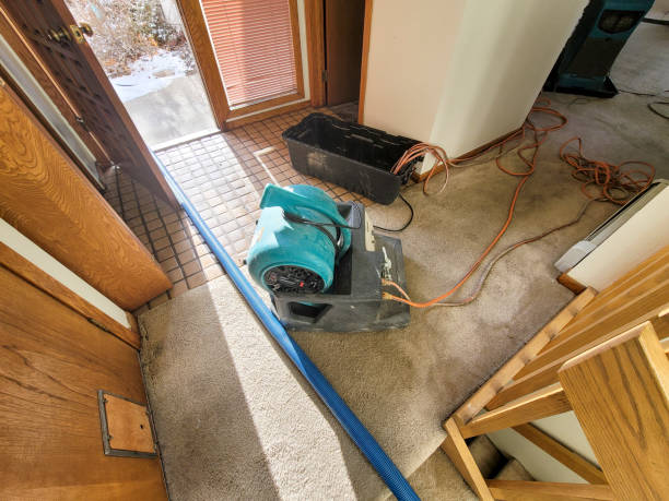 Best Water damage restoration near me  in Westwood, CA