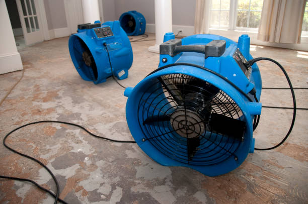 Best Water damage restoration cost  in Westwood, CA