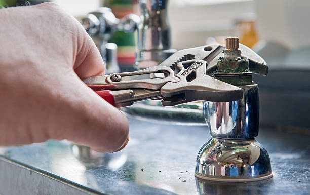 Best Mold removal after water damage  in Westwood, CA