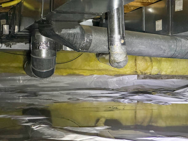 Best Water damage restoration near me  in Westwood, CA