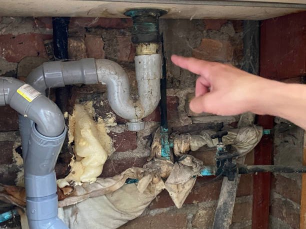 Best Water damage cleanup near me  in Westwood, CA